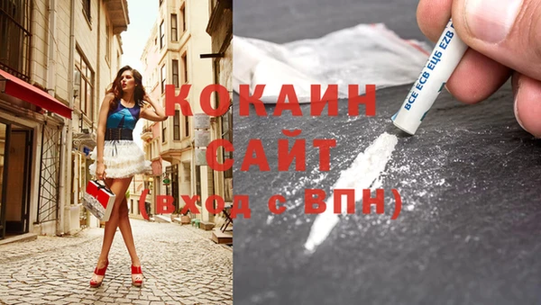 стафф Новокубанск