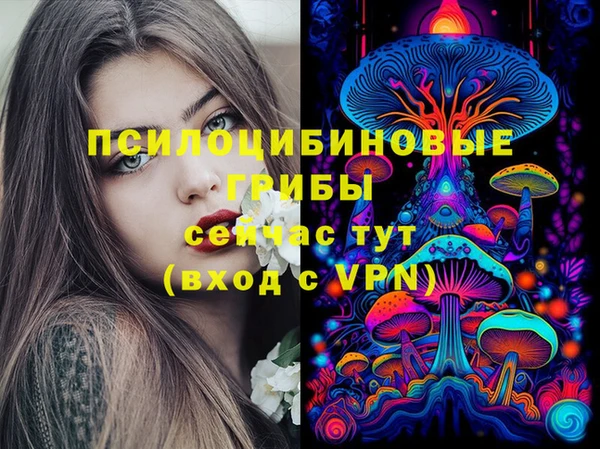 герыч Новодвинск