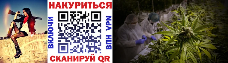 Канабис индика  Лысково 